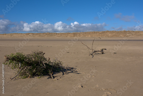 Obraz na płótnie sand dunes on the beach w salonie