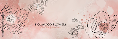 Abstract minimal flower outlines in black on pink watercolor background, hand drawn lines of dogwood flowers in trendy modern botanical floral illustration 