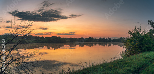 Summer landscape