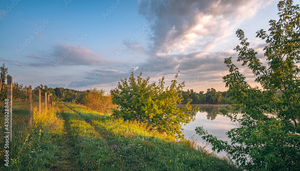 Naklejka premium Summer landscape