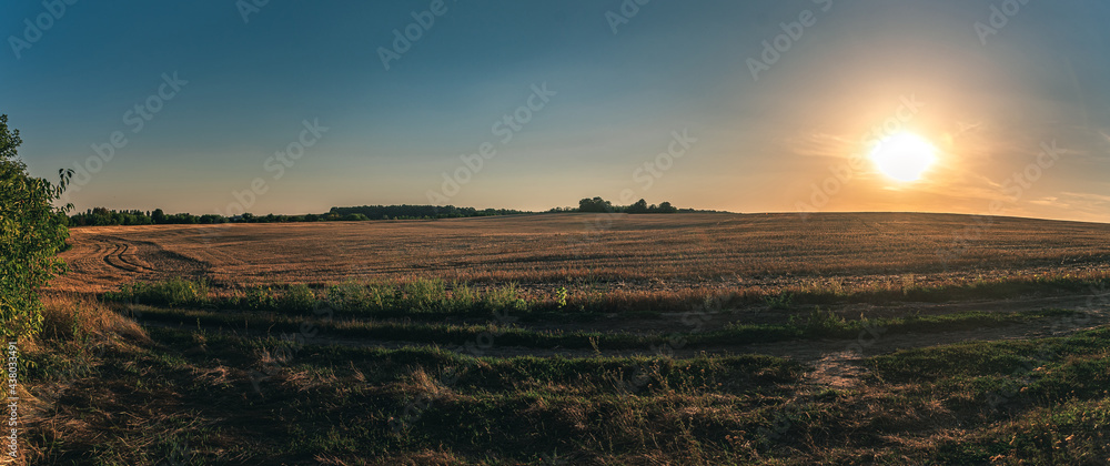 Fototapeta premium Summer moring among fields
