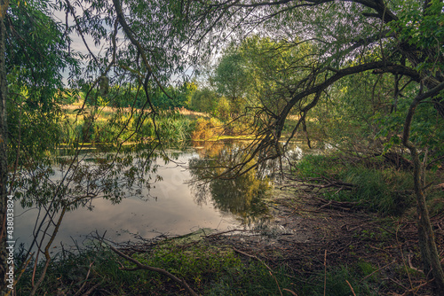 Summer moring among fields