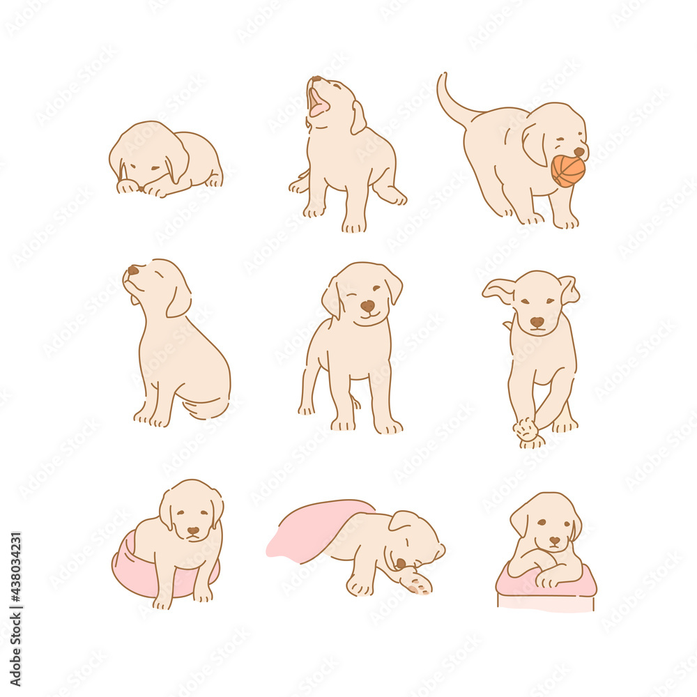 Fototapeta premium Cute Golden Retriever Puppy Characters Collection. hand drawn style vector design illustrations. 