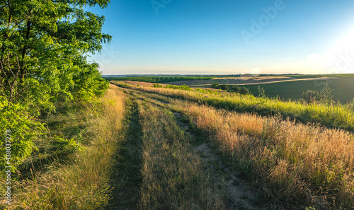 Summer sunset among fields