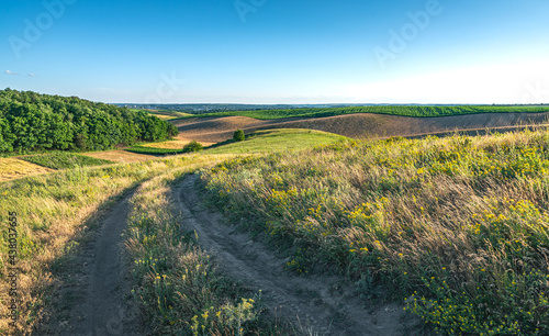 Summer sunset among fields