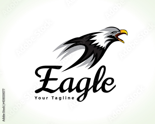 angry eagle hawk falcon bird drawing art logo design illustration inspiration