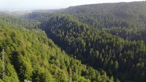 Aerial drone video of redwood forest and river in California mountains.