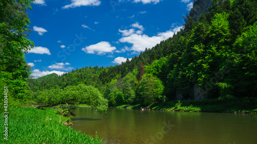 lake in the forest