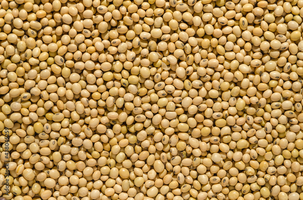 Close up of soya beans background Close up of soya beans background