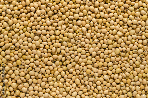 Close up of soya beans background