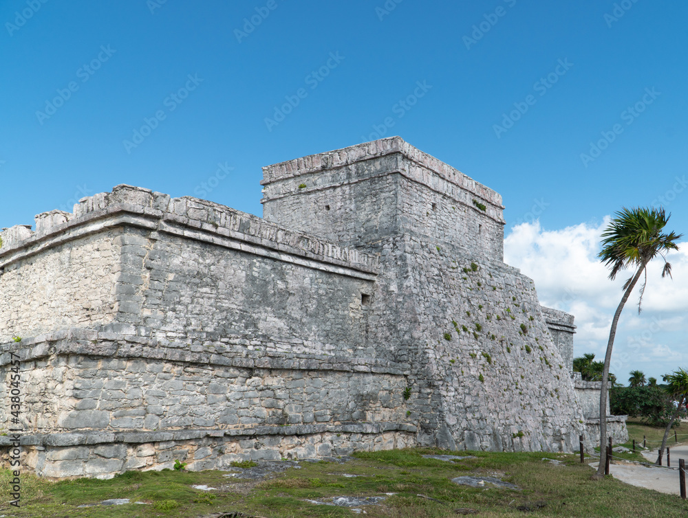 Backside of Mayan temple with palm tree in Tulum, Mexico Backside of Mayan temple with palm tree in Tulum, Mexico