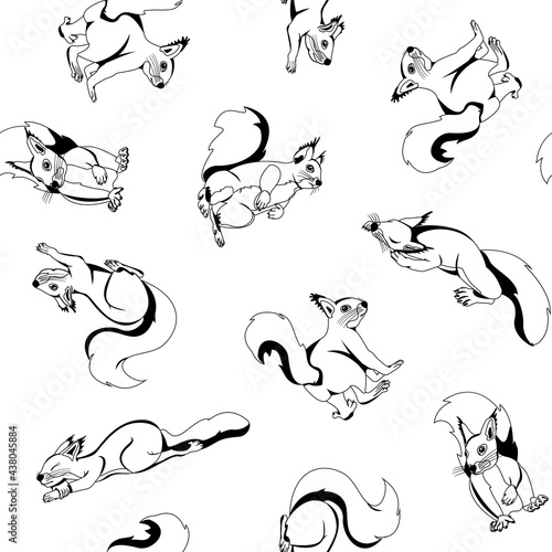 Vector illustration of squirrels in the doodle style. Seamless isolated image for prints