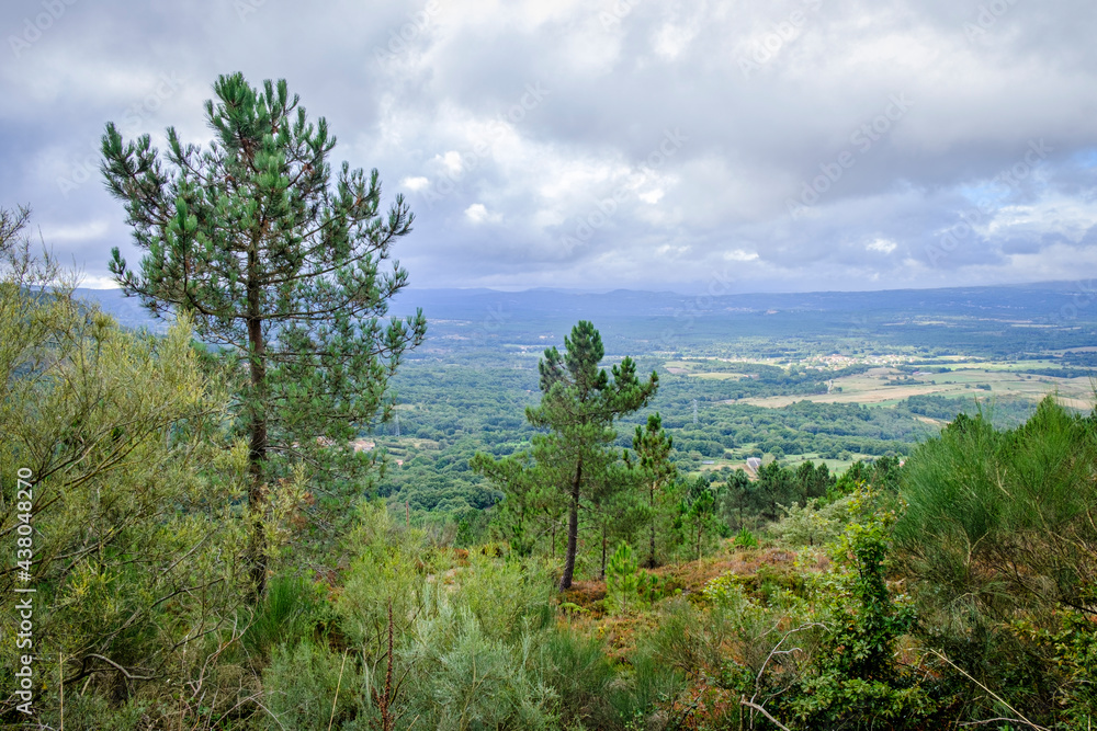 Panoramic view of a valley in the province of Ourense, in Galicia (Spain)