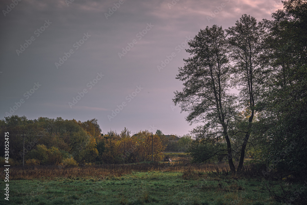 Obraz premium Autumn sunset