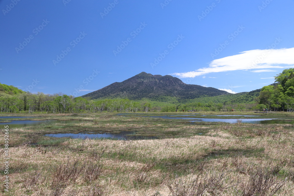 Fototapeta premium 尾瀬/6月。 まだ水芭蕉が咲き残る初夏の尾瀬ヶ原。山、空が写る池。