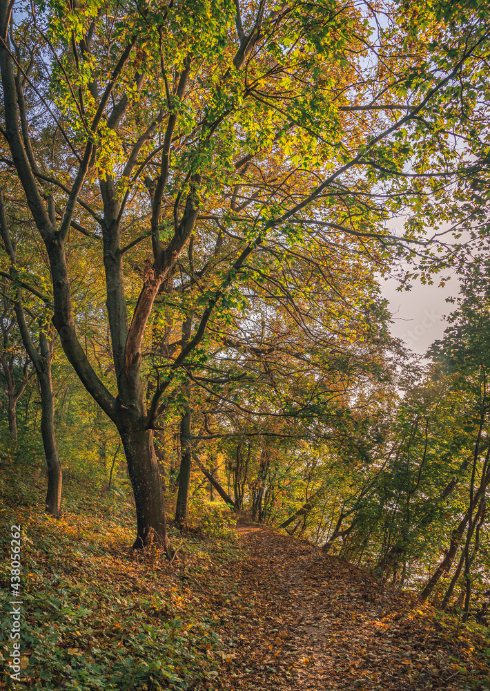 Autumn sunset