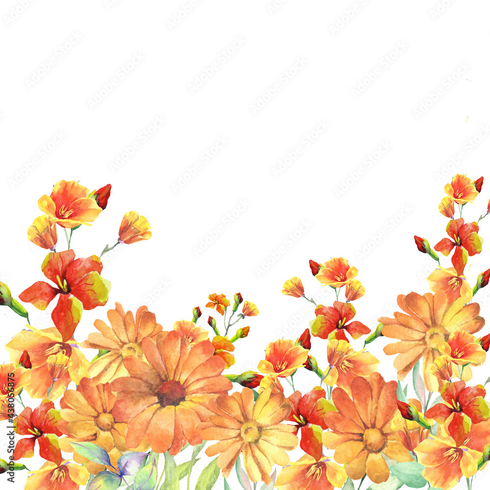 background with meadow flowers