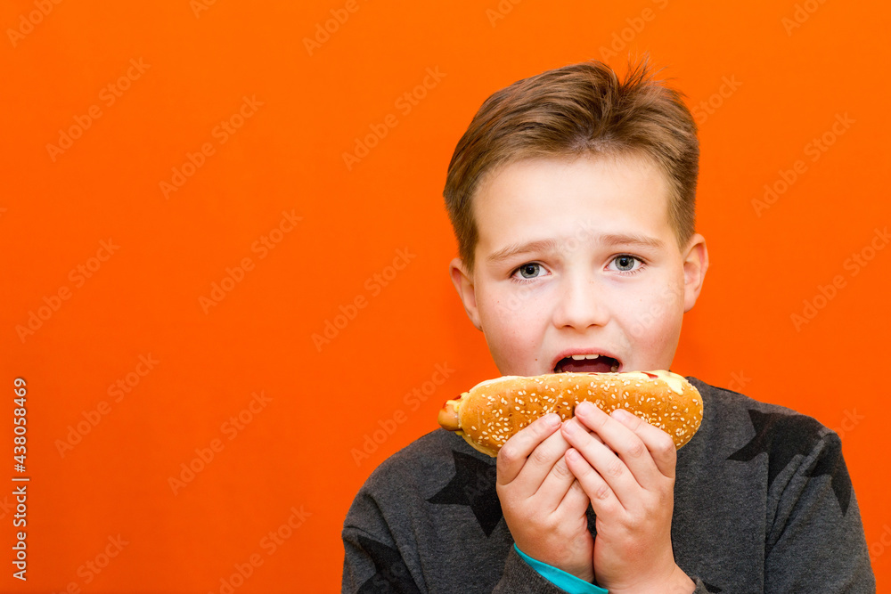 Handsome 10 yers old boy holding and biting hot dog closeup indoors orange studio background image.Close up,copy space.