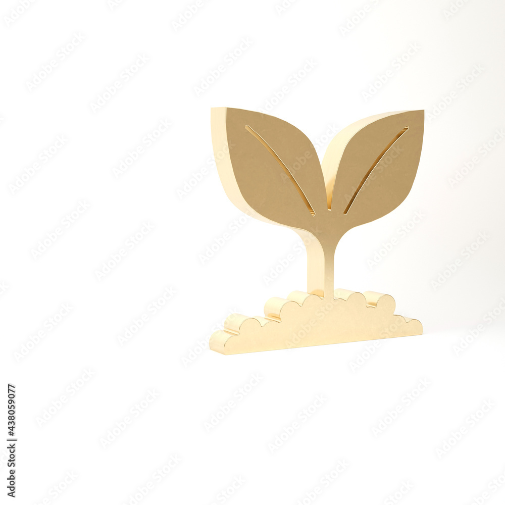 Gold Plant icon isolated on white background. Seed and seedling. Leaves sign. Leaf nature. 3d illustration 3D render Gold Plant icon isolated on white background. Seed and seedling. Leaves sign. Leaf nature. 3d illustration 3D render