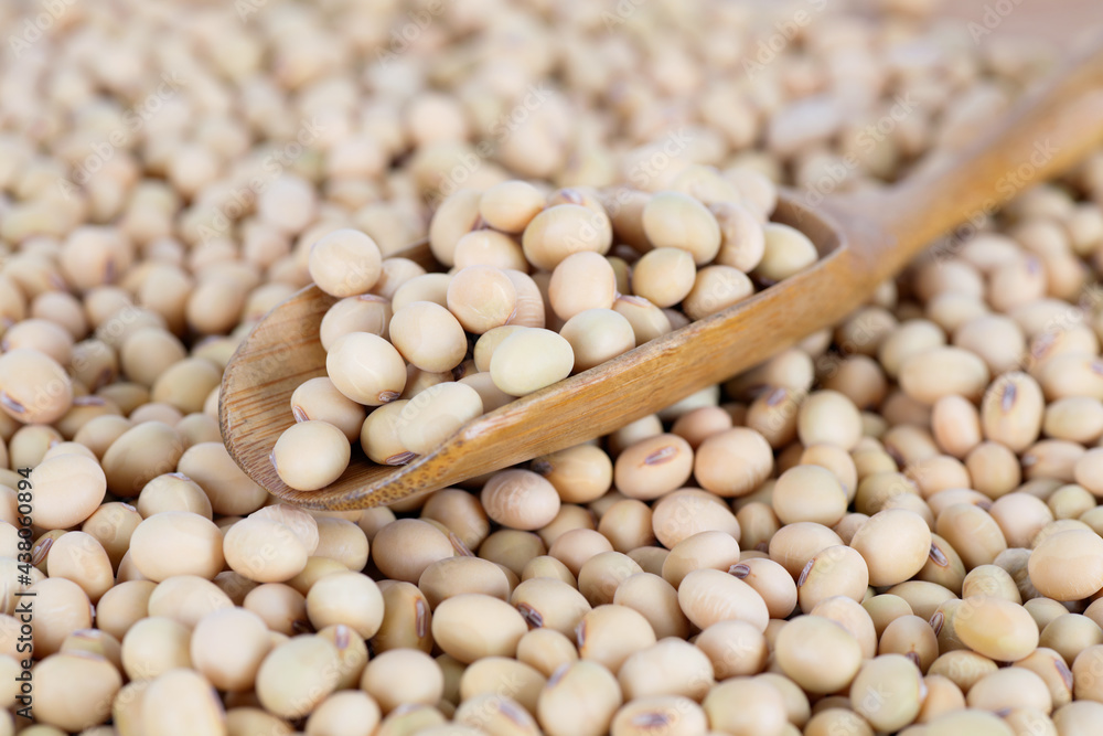 Harvested soybeans and the spoon on top