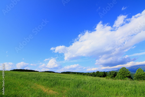 東農牧場からの景色。青い空と緑の大地。