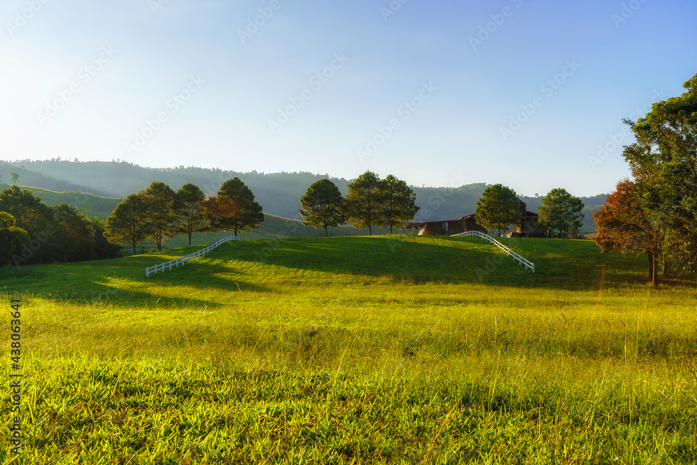 Green meadow grass field landscape view farms 