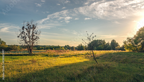 Fototapeta Naklejka Na Ścianę i Meble -  Summer moring among fields