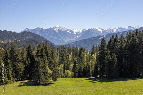 Alpenpanorama mit Schneebedeckten Gipfeln und grünen Wiesen und Bäumen