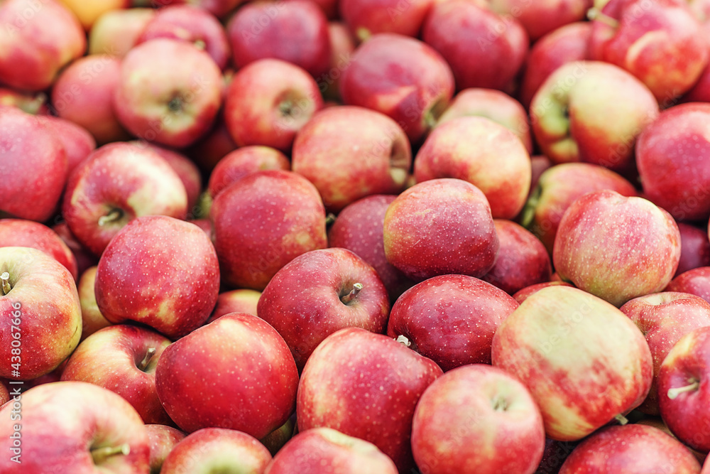 Fresh organic apples harvested from garden, close up for background Fresh organic apples harvested from garden, close up for background