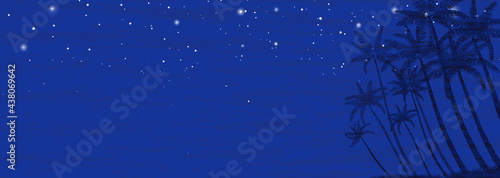南の島の椰子の木と星空