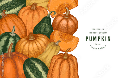 Pumpkin color design template. Vector hand drawn illustrations. Thanksgiving backdrop in retro style with pumpkin harvest. Autumn background.