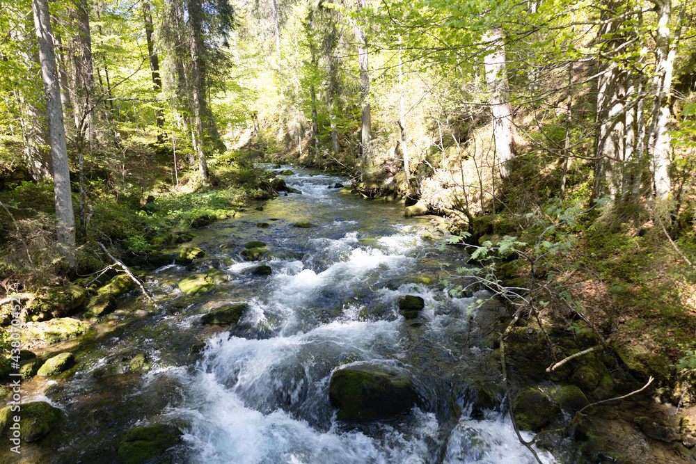 Wunderschöner Gebirgsfluss in den Alpen mit Panorama und kleinen Wasserfällen Wunderschöner Gebirgsfluss in den Alpen mit Panorama und kleinen Wasserfällen