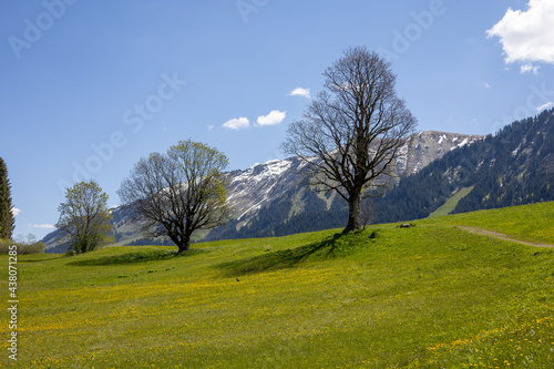 Wunderschöne Landschaft in den Alpen in Österreich mit grüner Natur