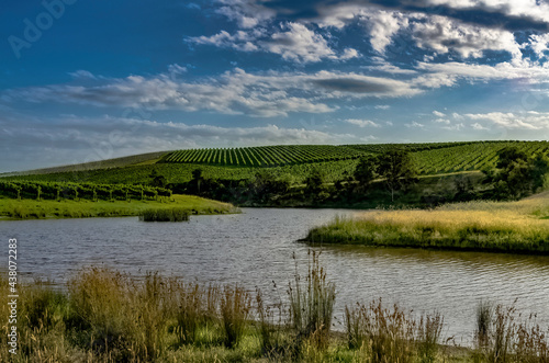 Vineyards On Vineyards