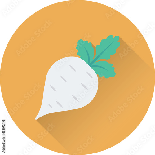 Turnip