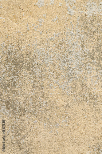 Wallpaper Mural ザラザラの壁 Torontodigital.ca