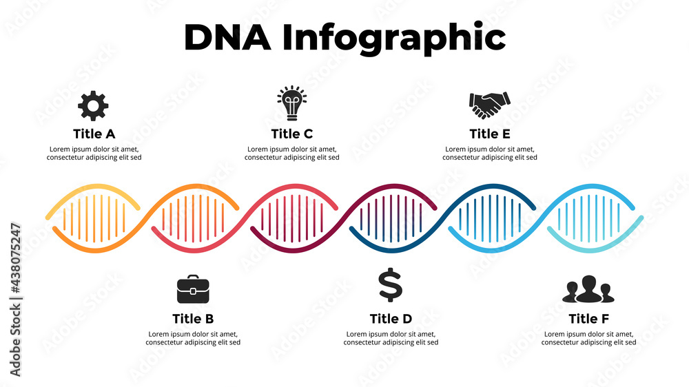 DNA Infographic. Vector illustration slide template. Scientific medical research concept. 6 options chart. Spiral creative sign. Genetic engineering experiment. 