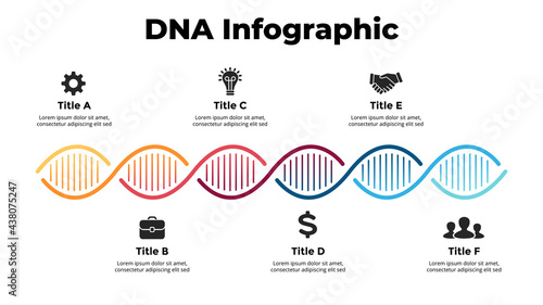 DNA Infographic. Vector illustration slide template. Scientific medical research concept. 6 options chart. Spiral creative sign. Genetic engineering experiment. 