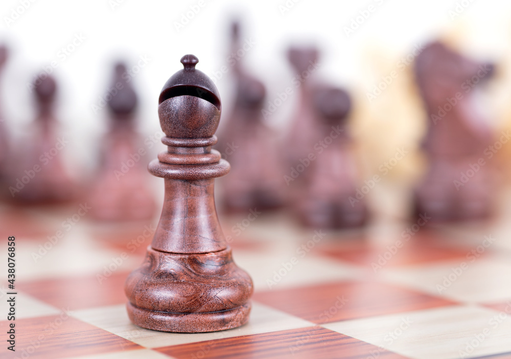 Chess pieces in chess Chess pieces in chess