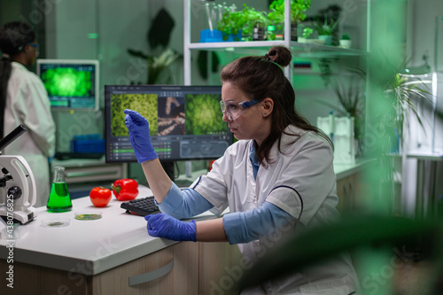 Chemist scientist looking at green leaf sample checking genetic mutation for biological experiment. Scientist analyzing organic gmo plants while working in microbiology laboratory.