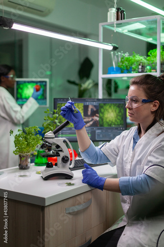 Biologist splecialist taking with tweezers green leaf sample putting under microscope analyzing genetic mutation. Chemist examining biological discovery on plant working in pharmaceutical laboratory.