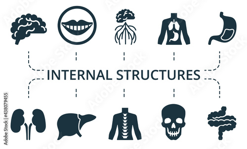 Internal Structures icon set. Contains editable icons theme such as heart, eye, pelvis and more.