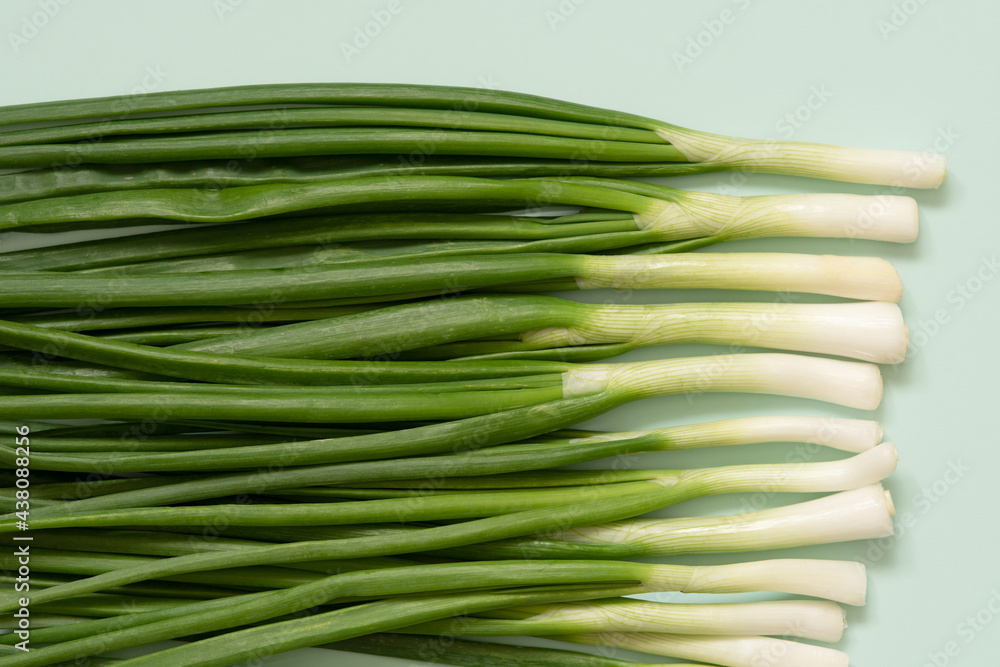 fresh green onions on an azure background fresh green onions on an azure background