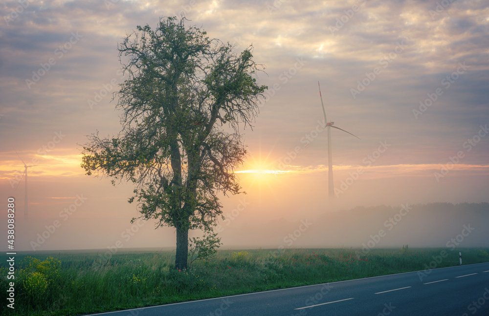 Windkraft Anlage Windrad mit Nebel und Baum bei Sonnenaufgang