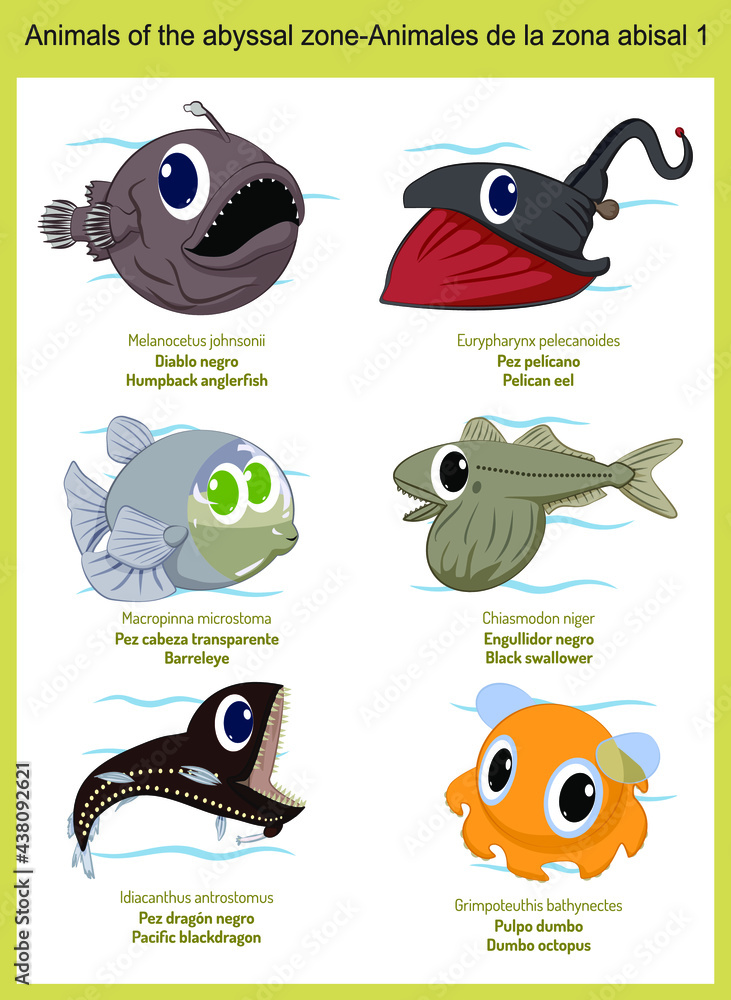 Wild world animals of the abyssal zone cartoons, cute wild animals in vector with scientific name, and common name in English and Spanish.
