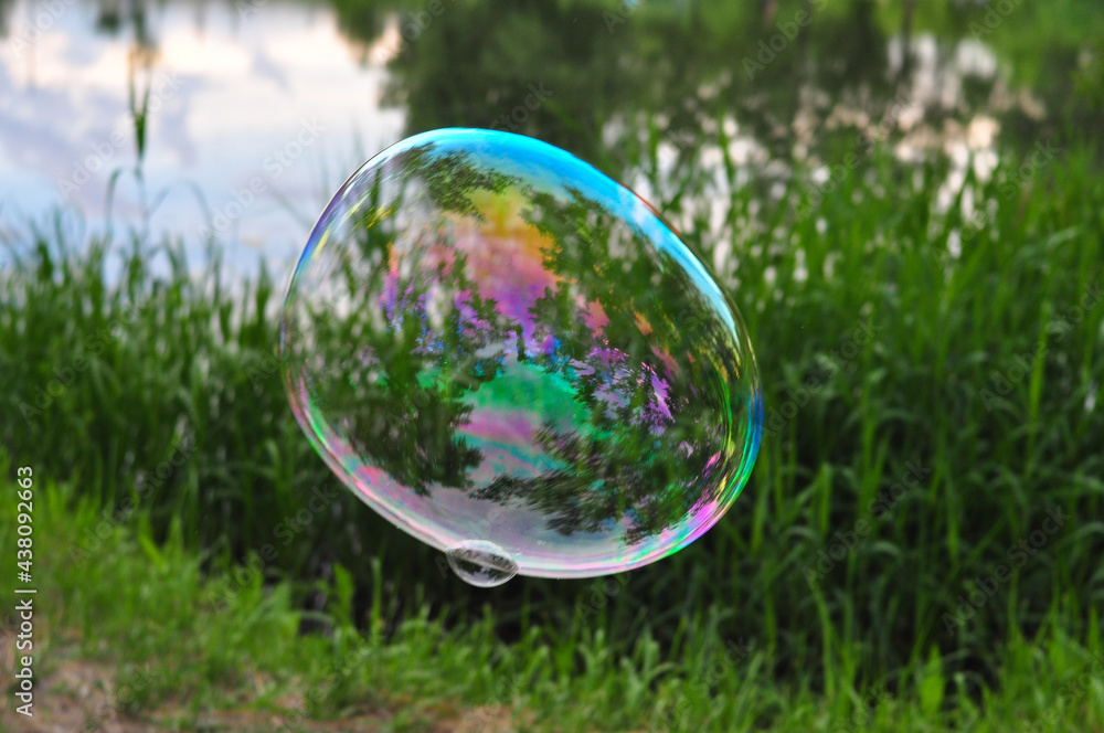 Big soap bubbles in the forest in summer copy space, background Big soap bubbles in the forest in summer copy space, background