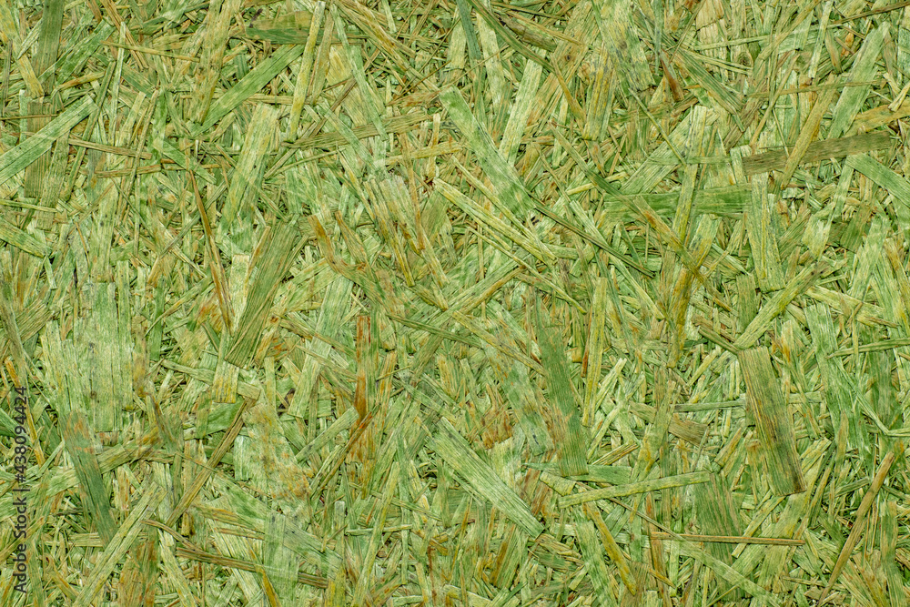 Green textured oriented strand board background close up for banner and design.