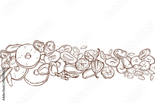 Dried fruits . Vector background.