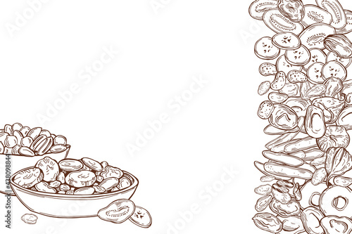 Dried fruits . Vector background.