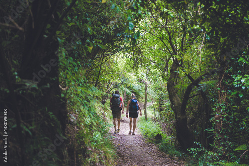 Queen Charlotte Track, Marlborough Sounds, New Zealand